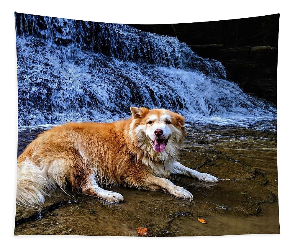  Tapestry featuring the photograph Waterfall Doggy by Brad Nellis