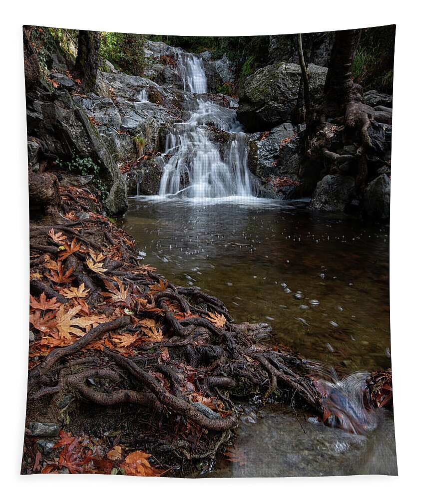 Waterfall Tapestry featuring the photograph Waterfall in autumn. by Michalakis Ppalis