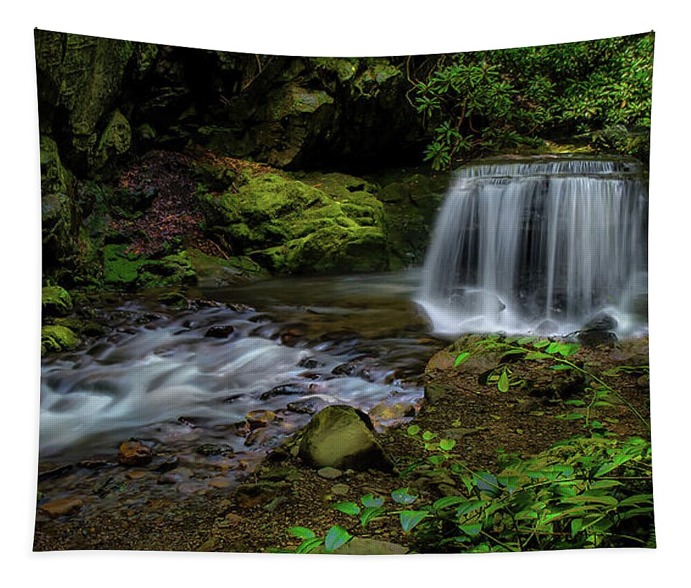 Panorama Tapestry featuring the photograph Waterfall in the Glen Panorama by Shelia Hunt