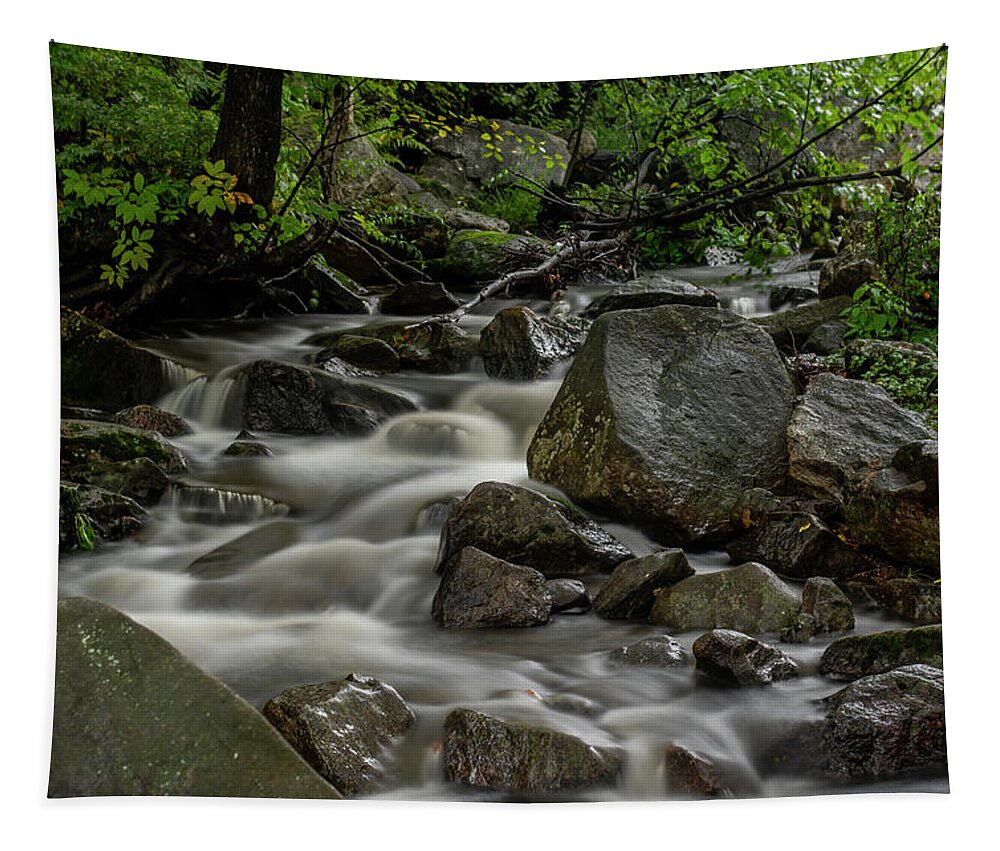 Waterfall Tapestry featuring the photograph Waterfall in the WOods by Regina Muscarella