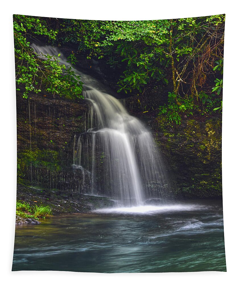 Waterfall Tapestry featuring the photograph Waterfall On Little River by Phil Perkins