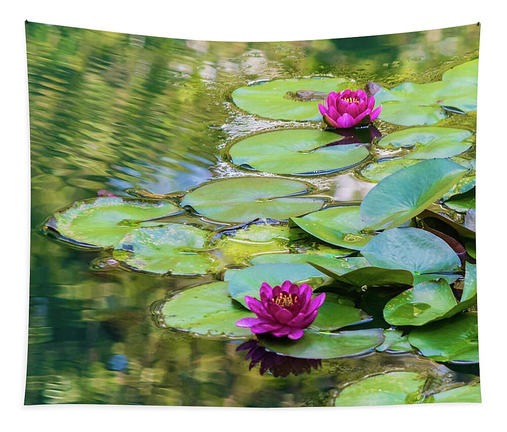 Waterlilies Tapestry featuring the photograph Waterlilies at Gibbs Gardens by Mary Ann Artz