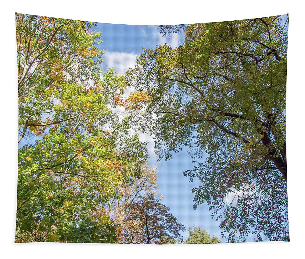 Waterlow Park Tapestry featuring the photograph Waterlow Park Trees Fall 2 by Edmund Peston
