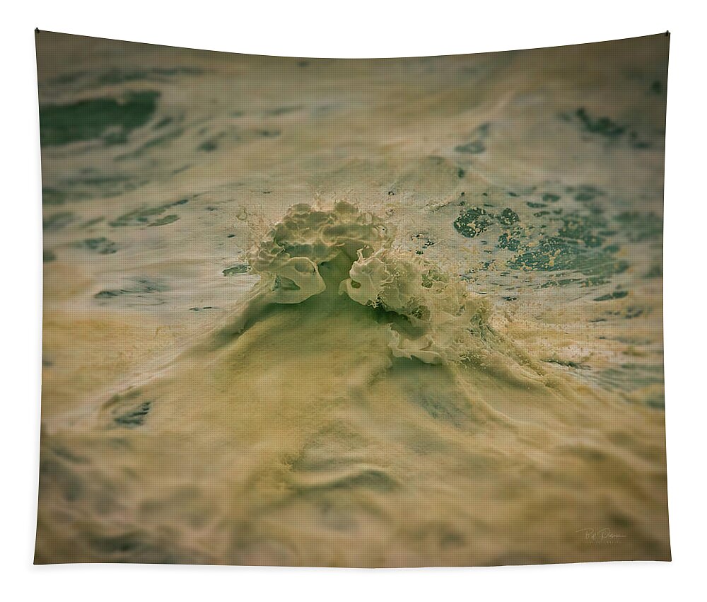 H2o Tapestry featuring the photograph Wave Pose by Bill Posner