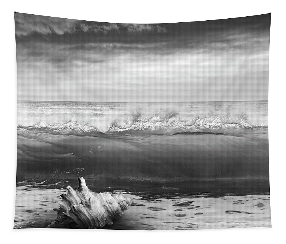 Clouds Tapestry featuring the photograph Waves and Shells III Black and White by Debra and Dave Vanderlaan