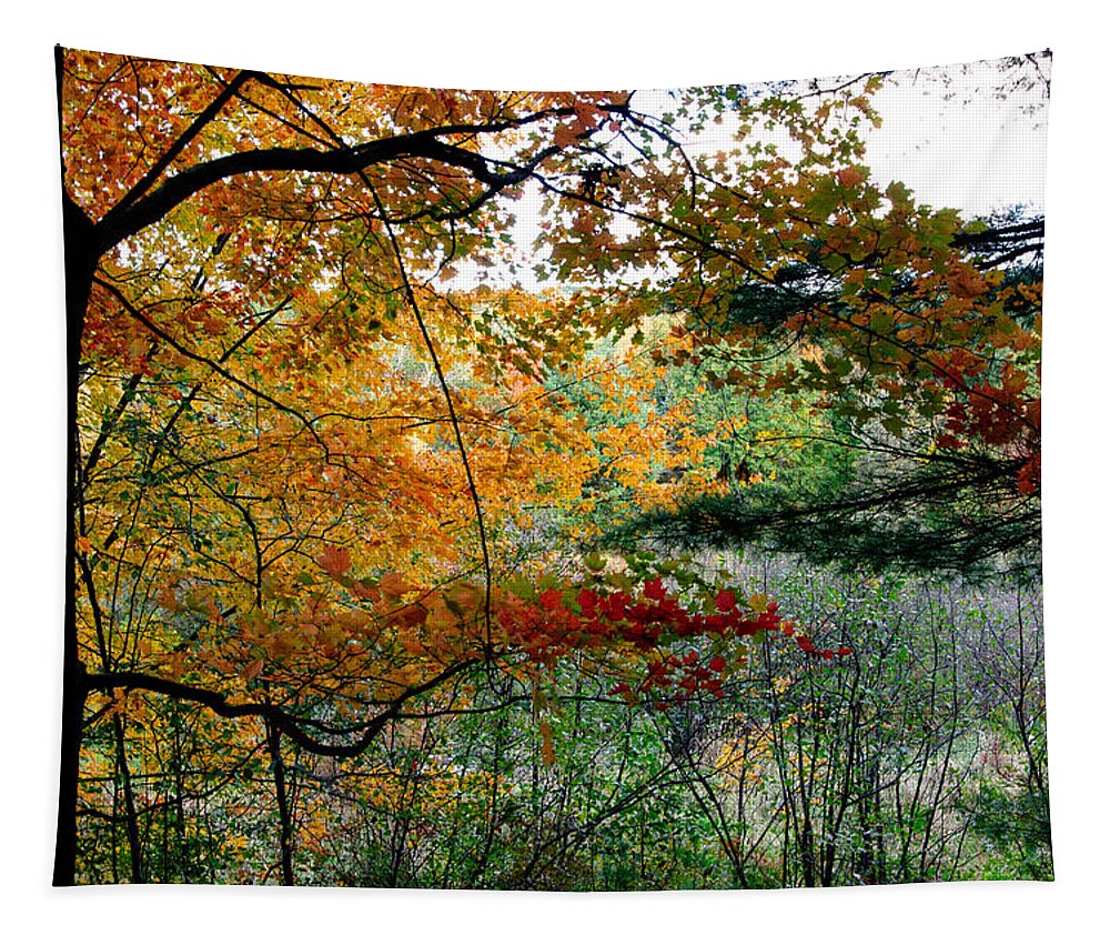 Autumn Tapestry featuring the photograph Waves of Autumn by Kristin Hatt