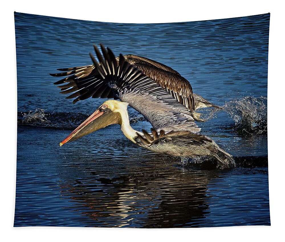 Brown Pelican Tapestry featuring the photograph We Have Liftoff by Ronald Lutz