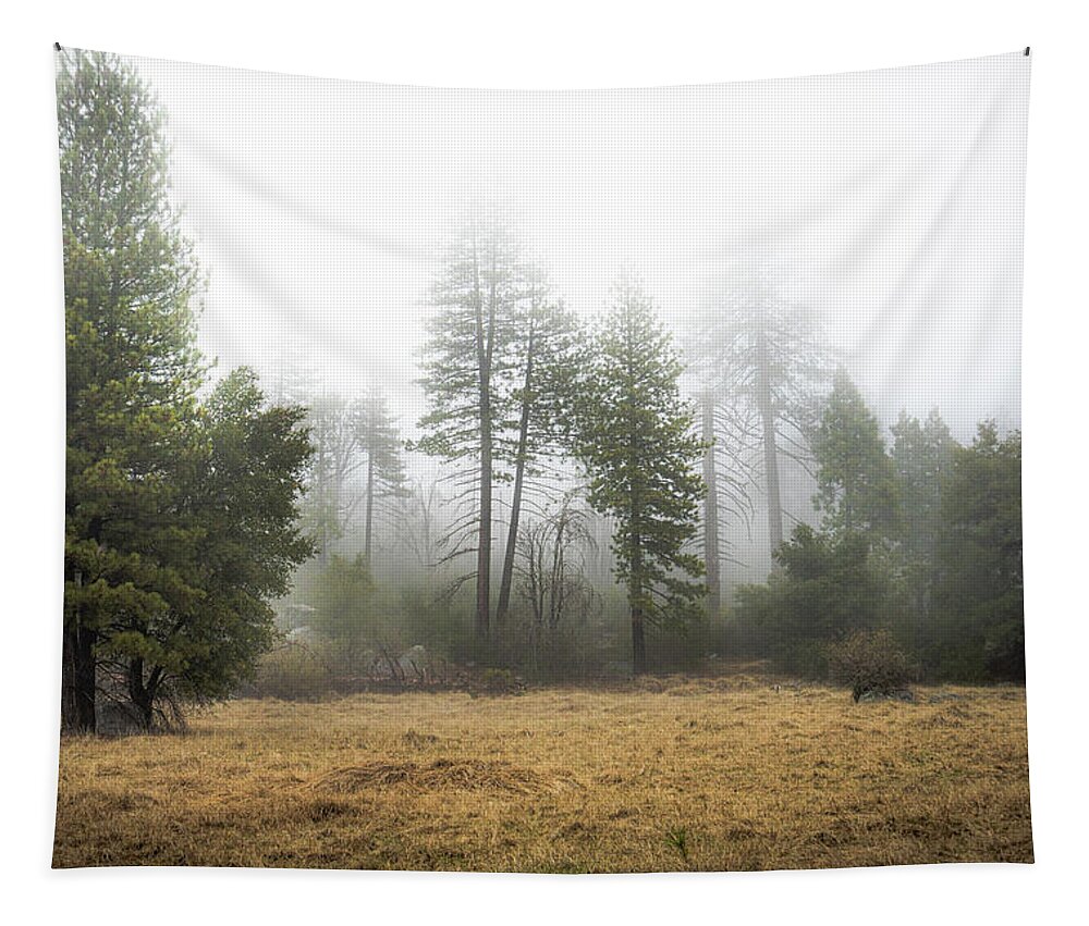 Trees Tapestry featuring the photograph We Wander by Ryan Weddle