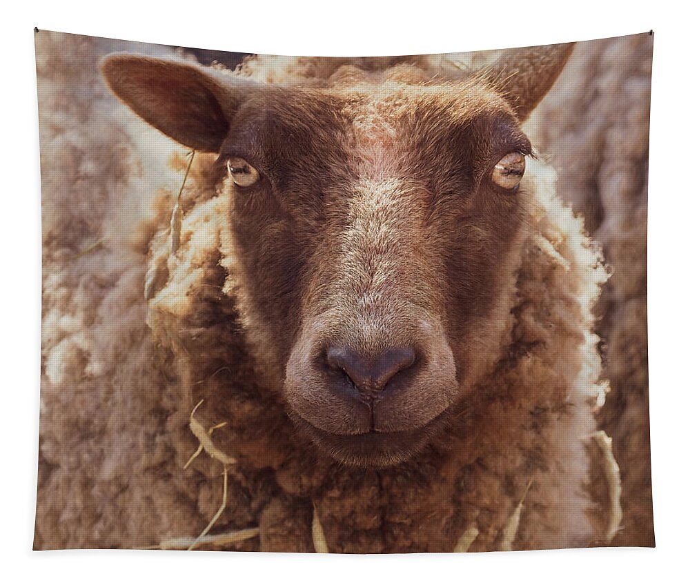 Farm Animal Tapestry featuring the photograph Well Hello There by Sylvia Goldkranz