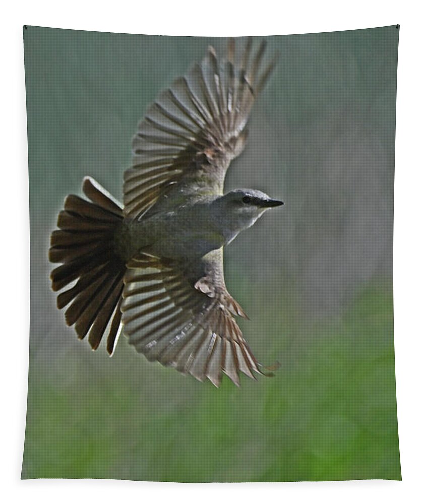 Tyrannus Verticalis Tapestry featuring the photograph Western Kingbird - Tyrannus verticalis by Amazing Action Photo Video