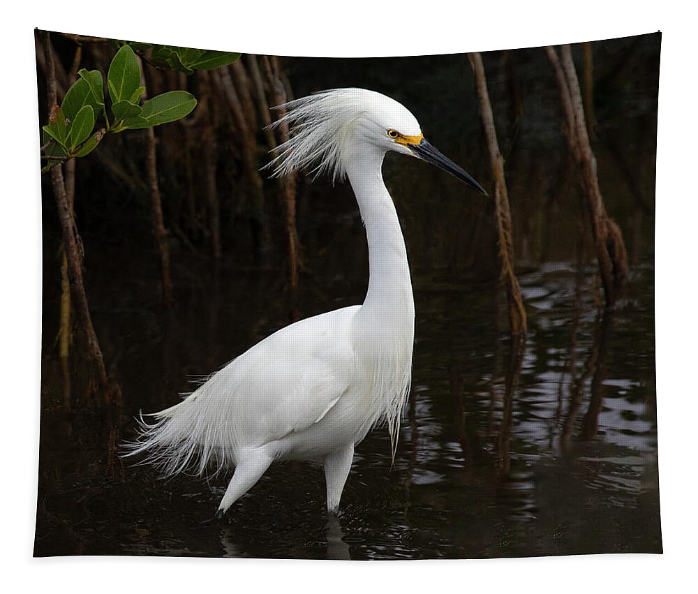 Bird Tapestry featuring the photograph Wetland Wader by Art Cole