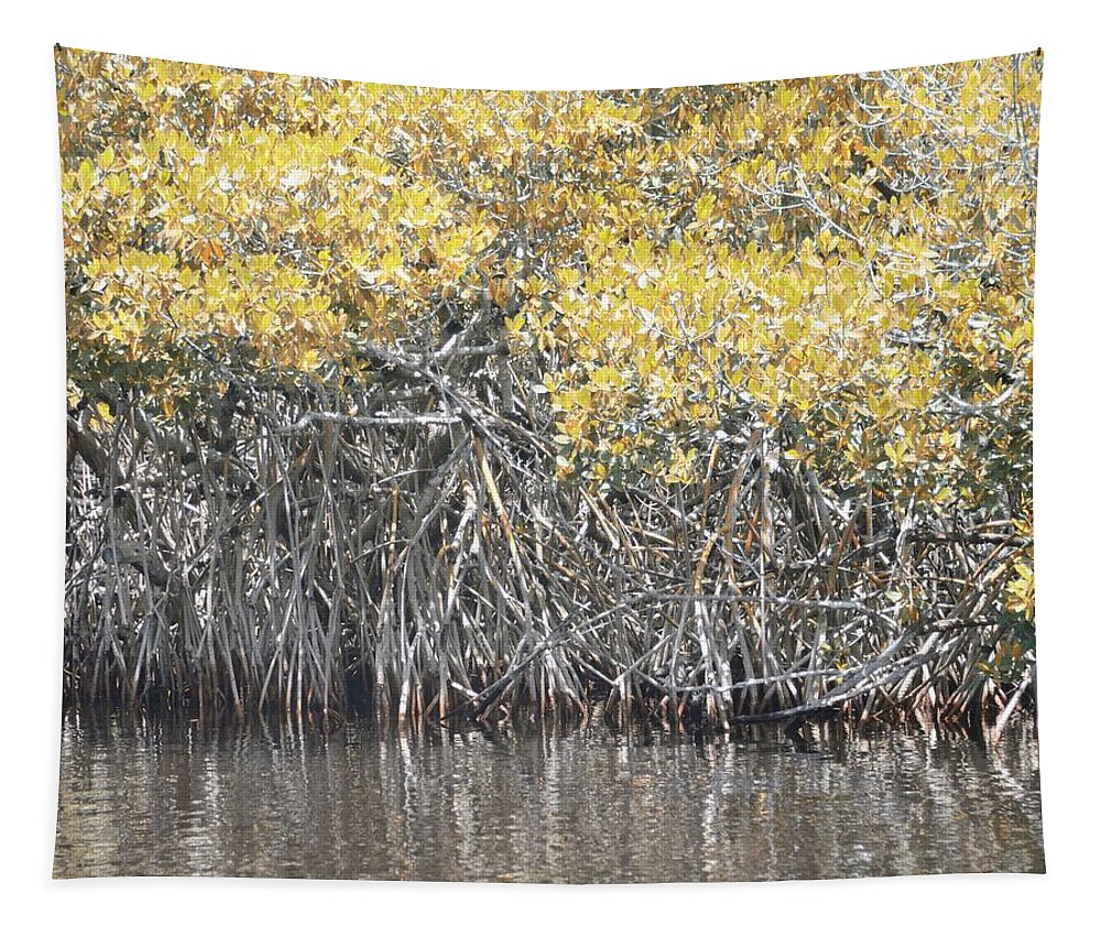 Florida Tapestry featuring the photograph Wetlands Art by Alison Belsan Horton