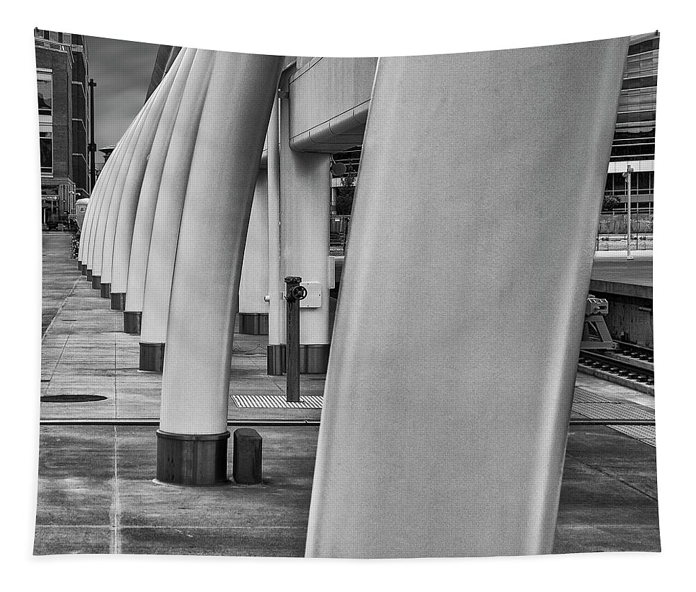 Architecture Tapestry featuring the photograph Whale Ribs by Tony Locke