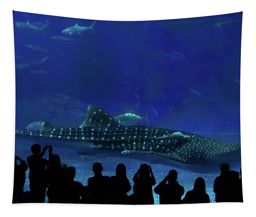 Whale Shark Tapestry featuring the photograph Whale Shark by Eric Hafner