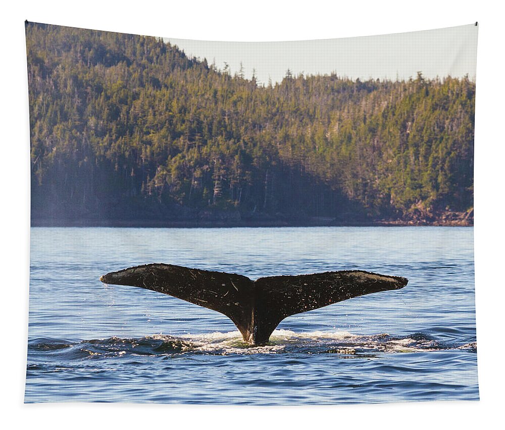 Whale Tale Tapestry featuring the photograph Whale Tale 3 by Michael Rauwolf
