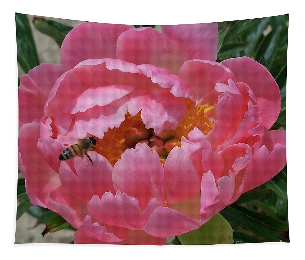 Peony Tapestry featuring the photograph What Lies Within Peony by Stephanie Weber
