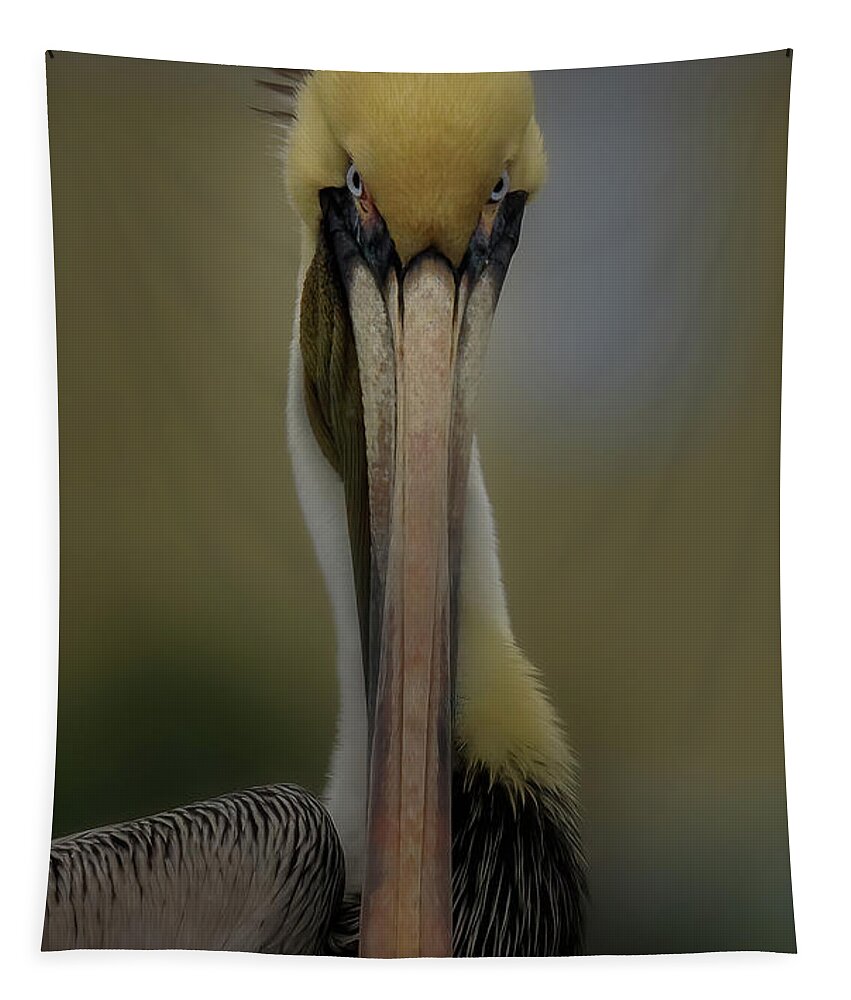 Pelican Tapestry featuring the photograph What's Up by JASawyer Imaging