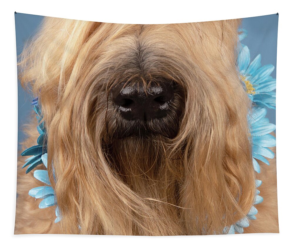 Wheaten Tapestry featuring the photograph Wheaten Face Mask 5 by Rebecca Cozart