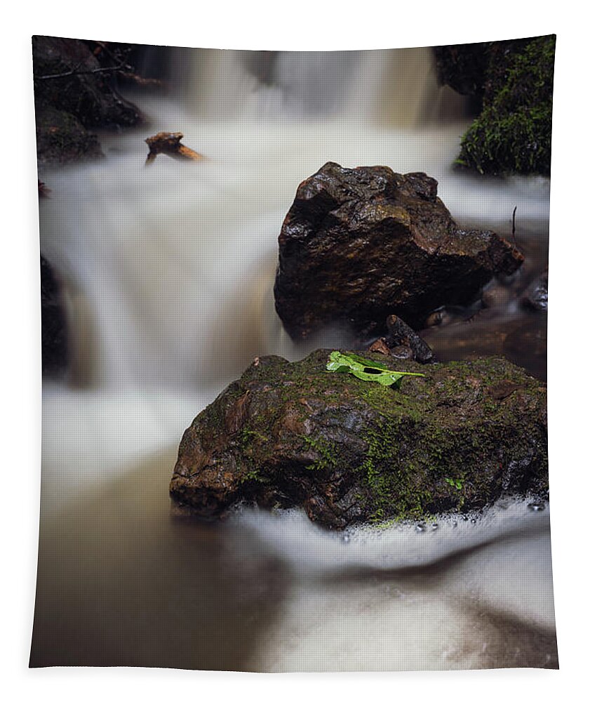 Cardiff Tapestry featuring the photograph When in foam by Gavin Lewis