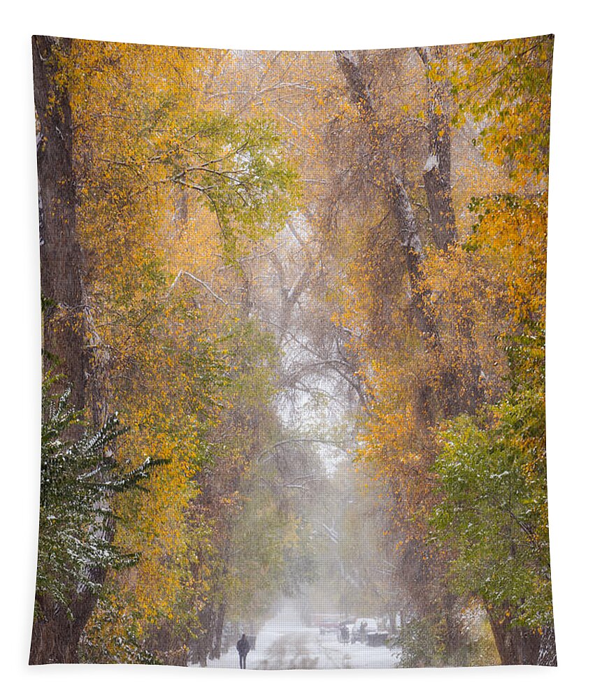 Autumn Tapestry featuring the photograph When Seasons Collide 7 by Elijah Rael