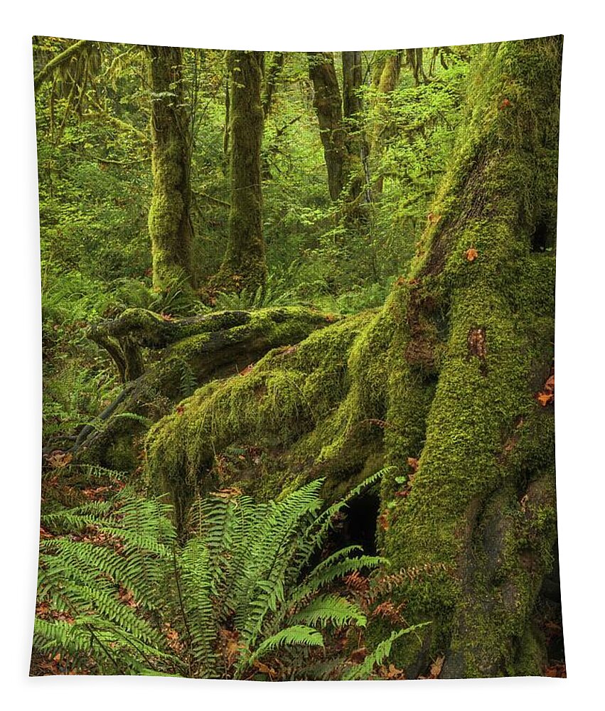 Washington Tapestry featuring the photograph When You Are Loved - Hoh Rainforest by Alexander Kunz