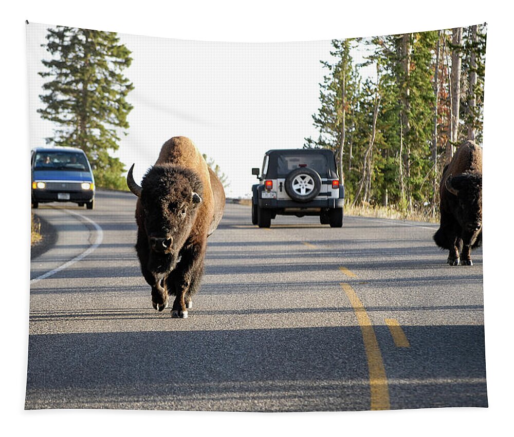 Buffalo Tapestry featuring the photograph Where The Buffalo Roam - Bison, Yellowstone National Park, Wyoming by Earth And Spirit