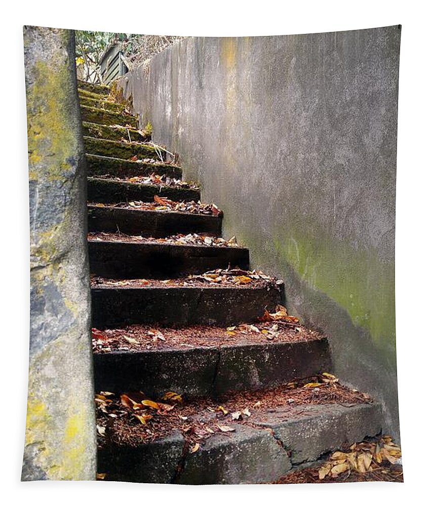 Stairs Tapestry featuring the photograph Where To by Kimberly Furey