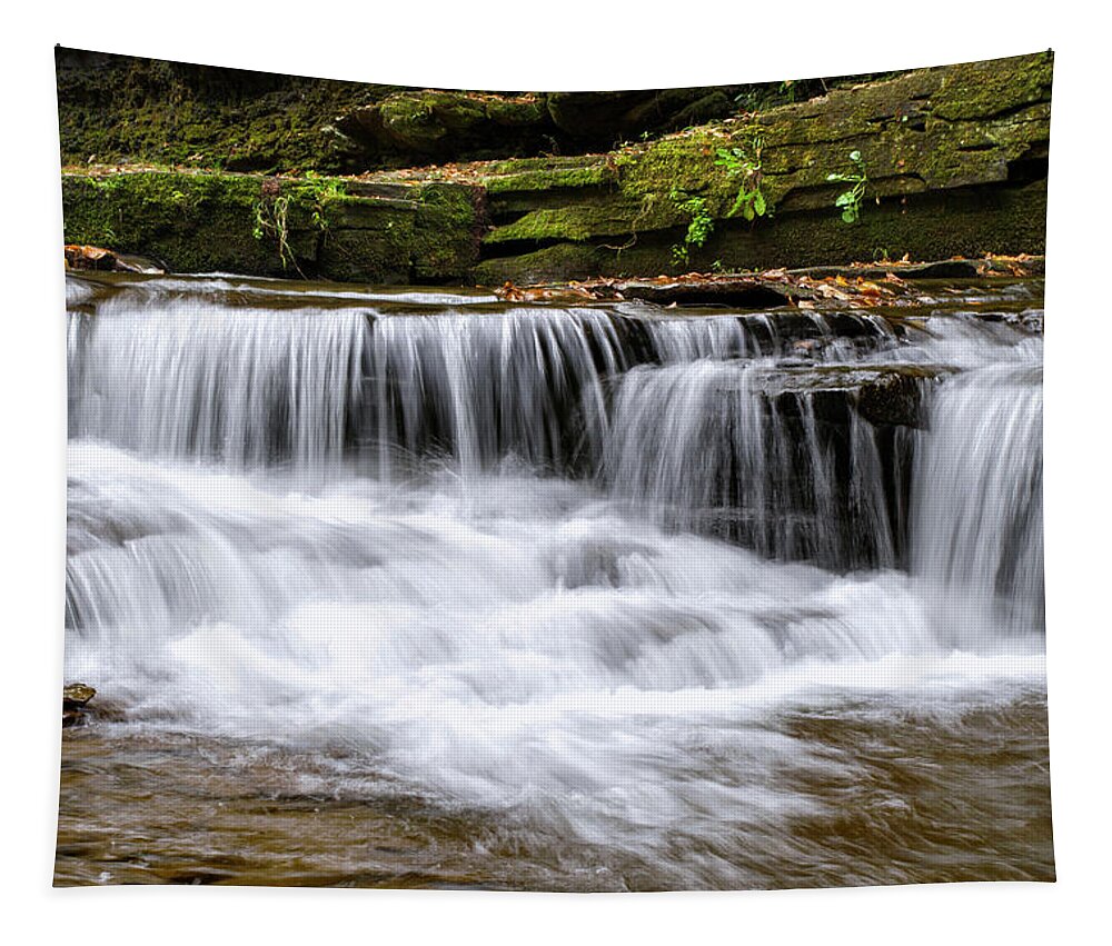 Beautiful Tapestry featuring the photograph Whispering Waterfall Landscape by Christina Rollo