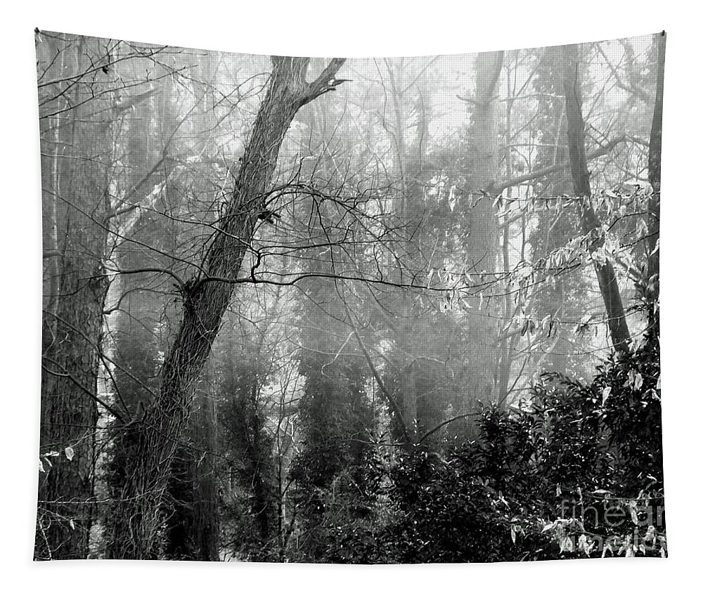 Fog Tapestry featuring the photograph Whitby65 Floodplain Forest by Lizi Beard-Ward