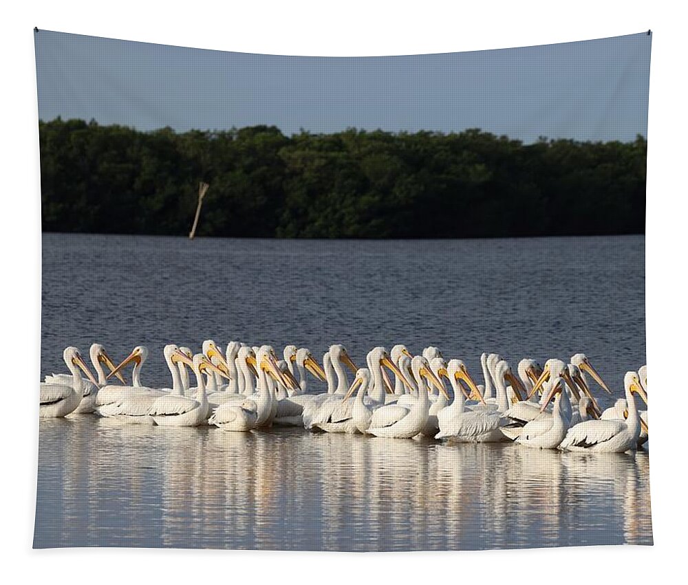 White American Pelican Tapestry featuring the photograph White American Pelicans by Mingming Jiang