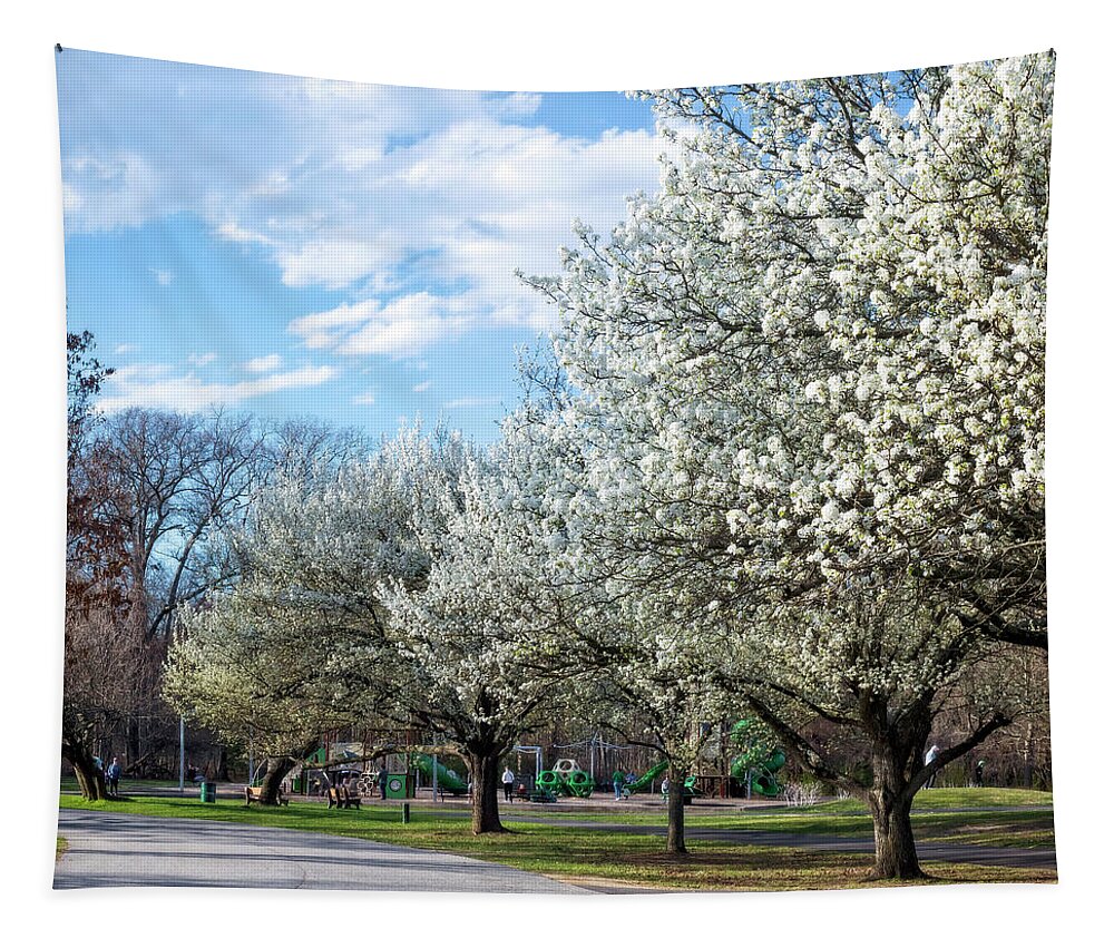 Park Tapestry featuring the photograph White Blossoms Blend Into The Clouds Pano by Brian Wallace