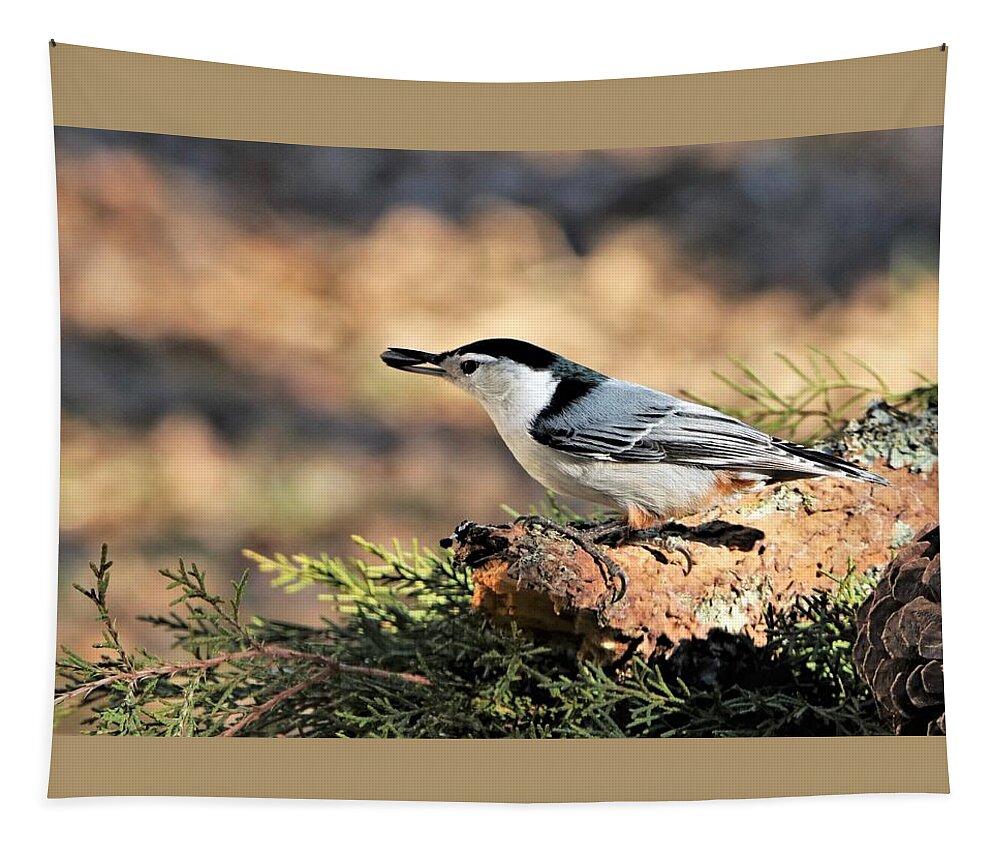 Nature Tapestry featuring the photograph White-breasted Nuthatch with Seed by Sheila Brown