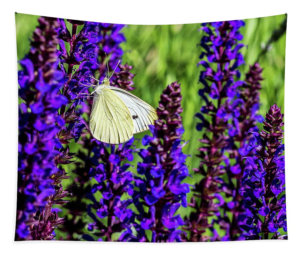 Flowers Tapestry featuring the photograph White Butterfly by Louis Dallara