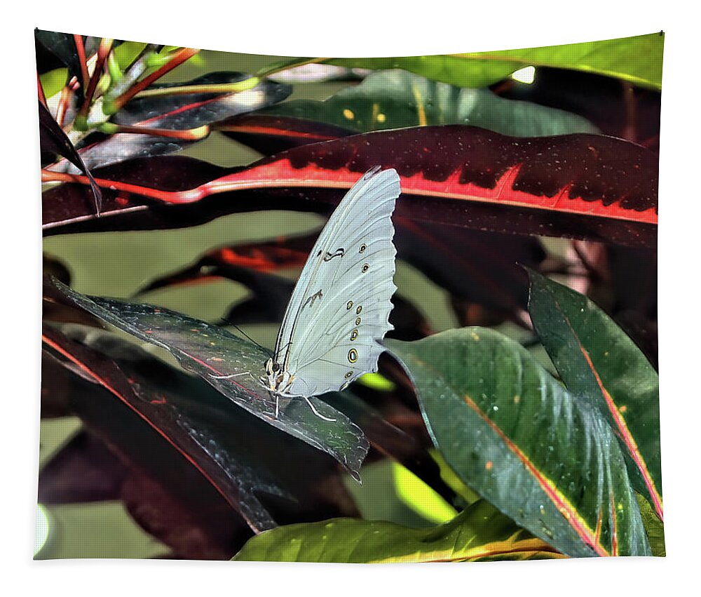 Butterfly Tapestry featuring the photograph White Cabbage Butterfly by Cathy Anderson
