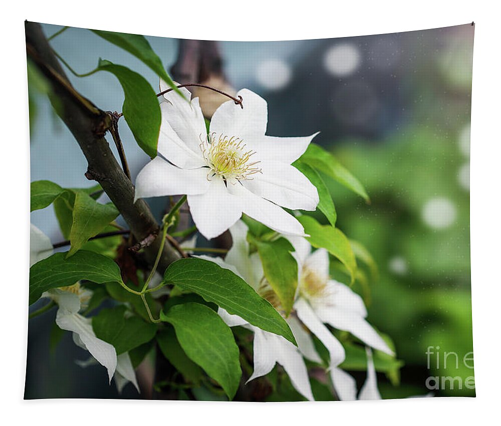 Clematis Tapestry featuring the photograph White Clematis Hyde Hall flowering among foliage by Stephanie Frey