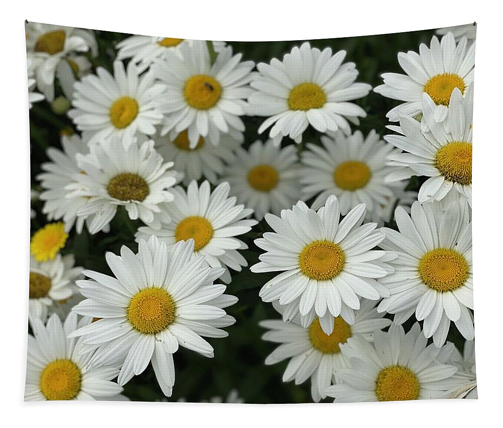 White Tapestry featuring the photograph White Daisies by Jerry Abbott