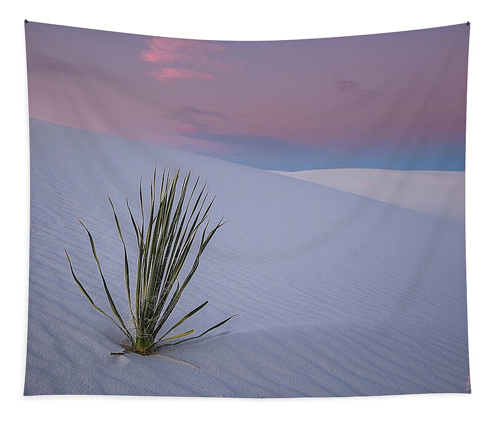 White Tapestry featuring the photograph White Dunes by Edgars Erglis