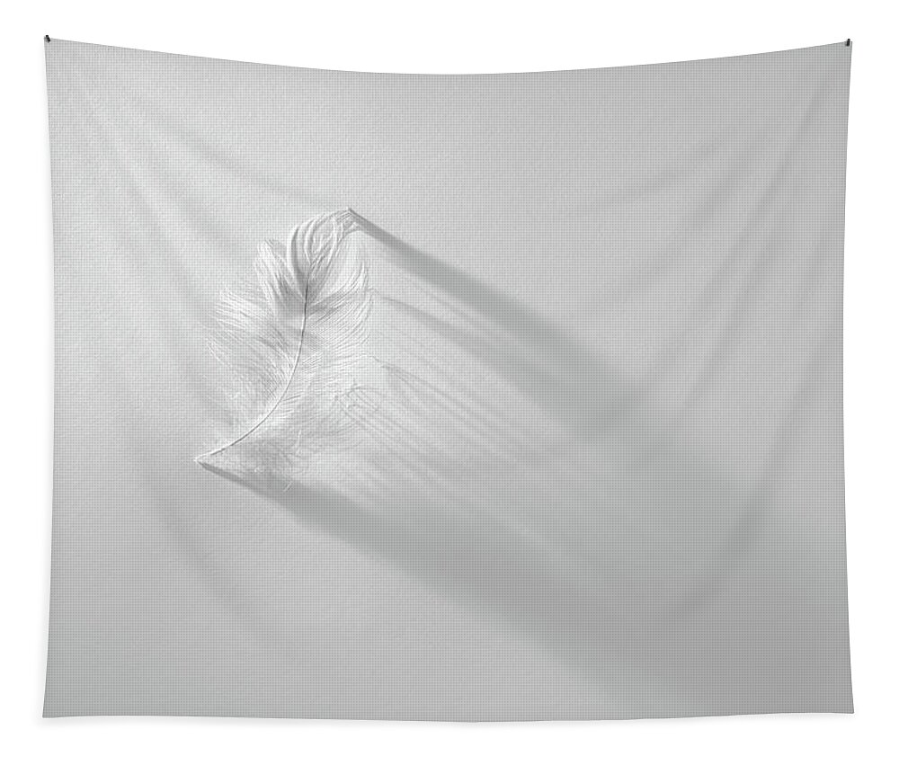 Feather Tapestry featuring the photograph White Feather by Scott Norris