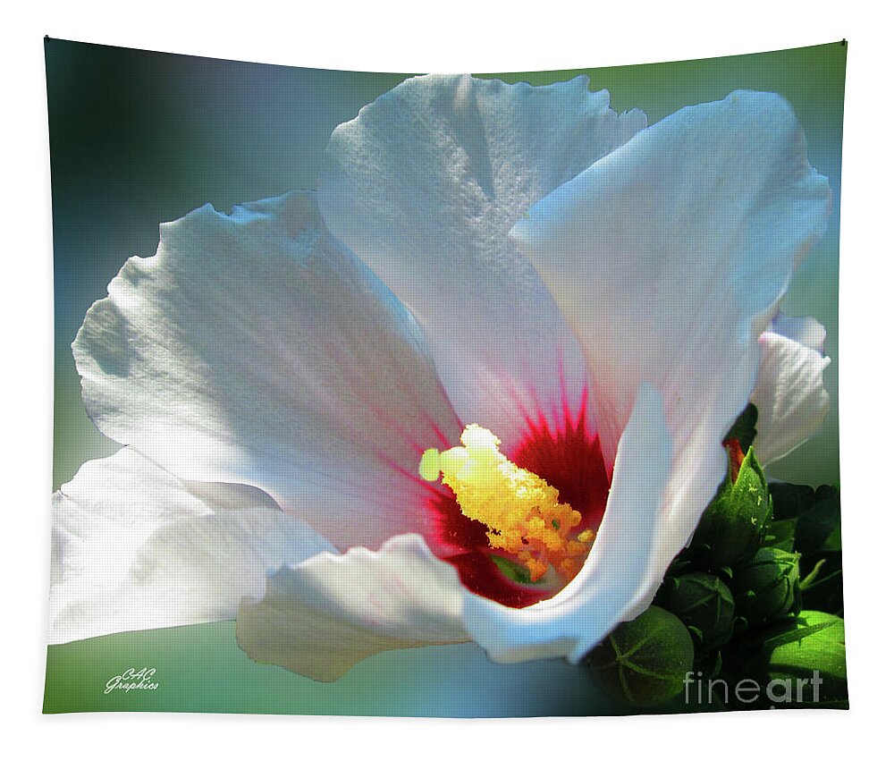 Hibiscus Flower Tapestry featuring the photograph White Hibiscus by CAC Graphics
