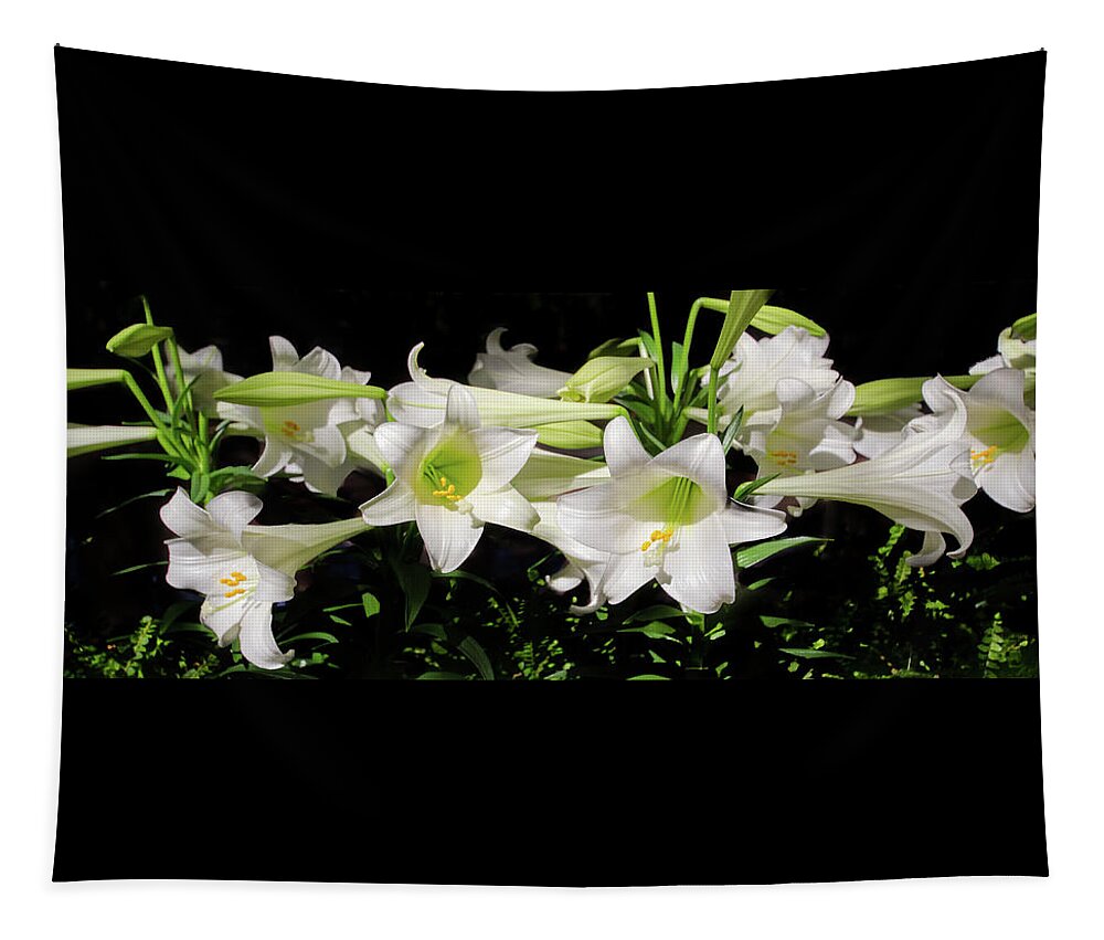 Black Background Tapestry featuring the photograph White Lilies by Crystal Wightman