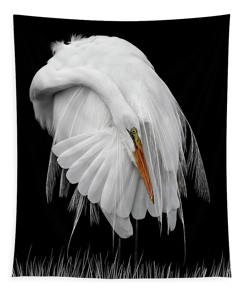 White On Black Tapestry featuring the photograph White on Black by Wes and Dotty Weber
