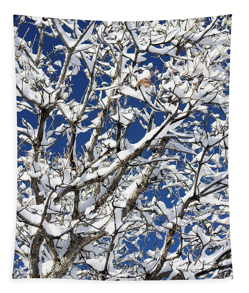 Colorado Tapestry featuring the photograph White on Blue by Tara Krauss
