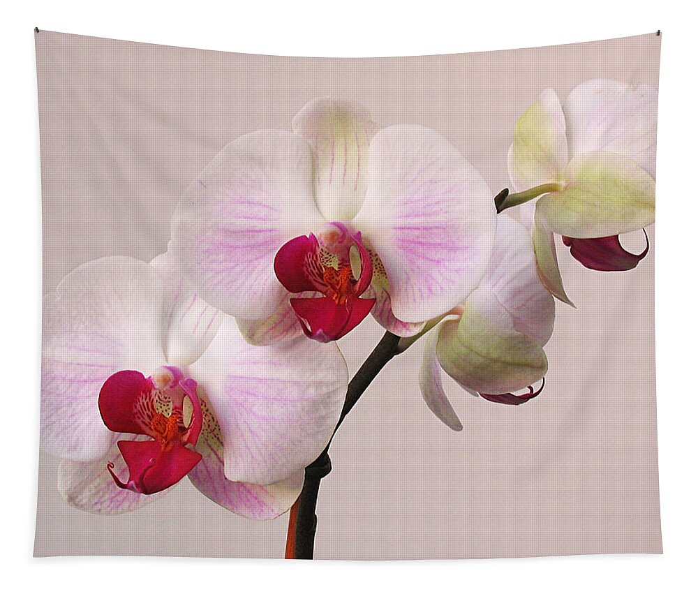 Orchid Tapestry featuring the photograph White Orchid by Juergen Roth