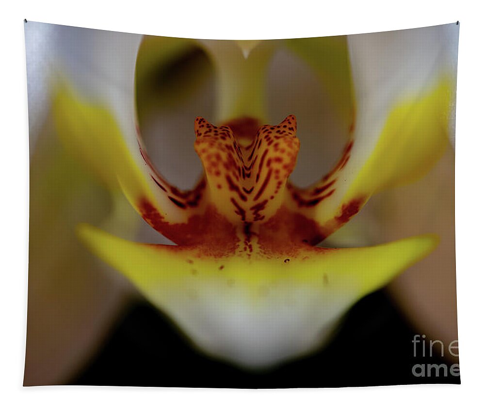 Flowers Tapestry featuring the photograph White Orchid by Theresa D Williams