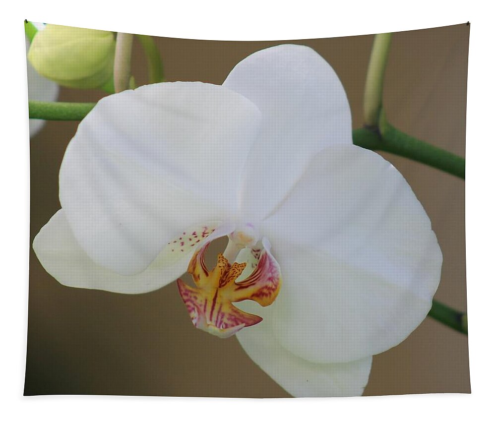 White Tapestry featuring the photograph White Orchid by Yvonne M Smith