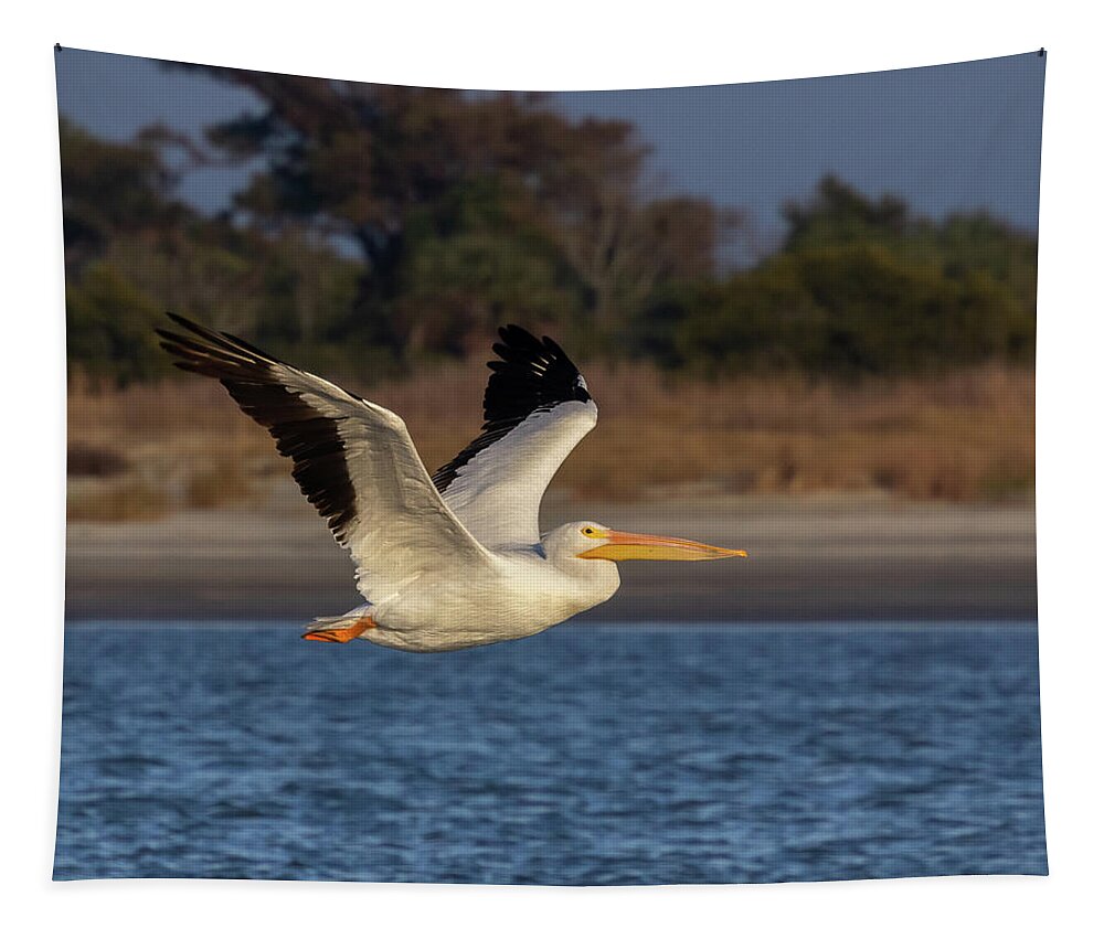 American White Pelican Tapestry featuring the photograph White Pelican in Flight by Patricia Schaefer
