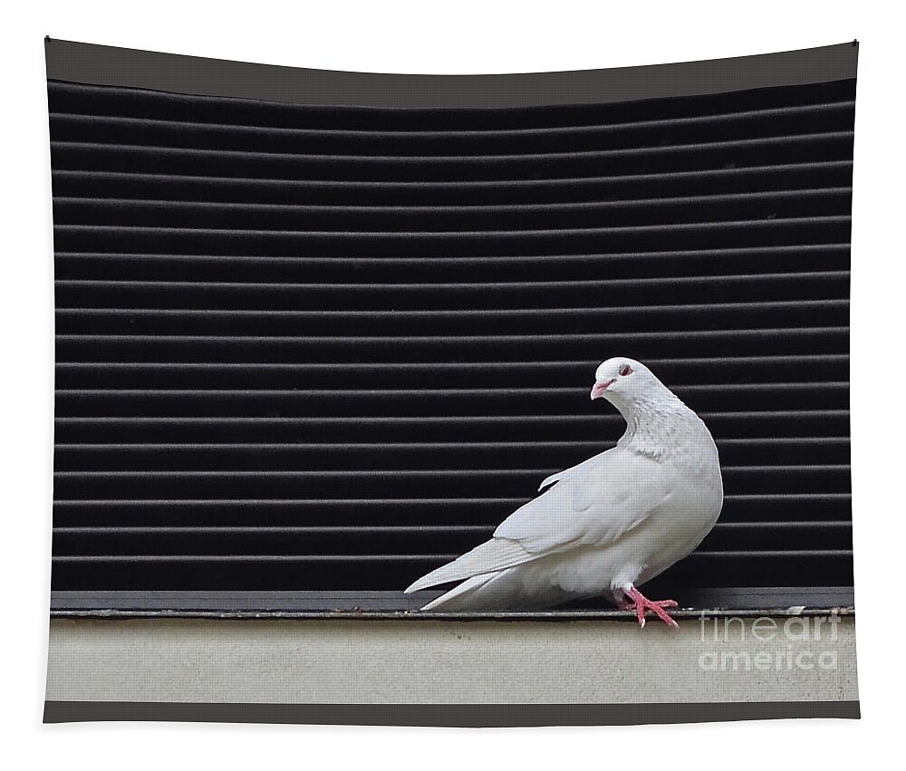 White Tapestry featuring the photograph White Pigeon Oahu by Ron Long