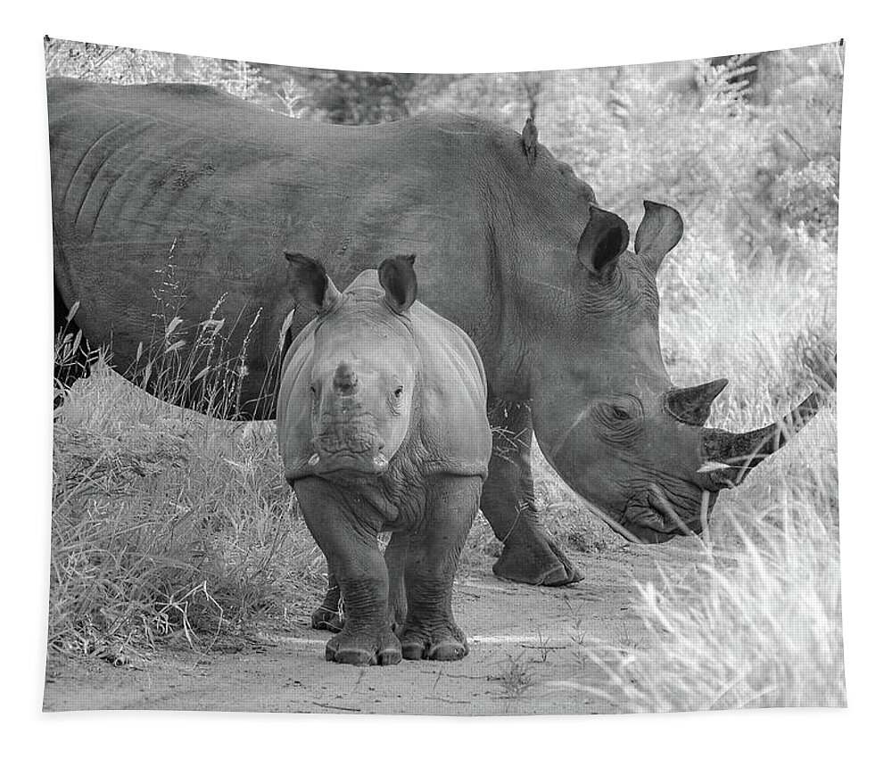 Rhino Tapestry featuring the photograph White Rhino and Calf by Rebecca Herranen