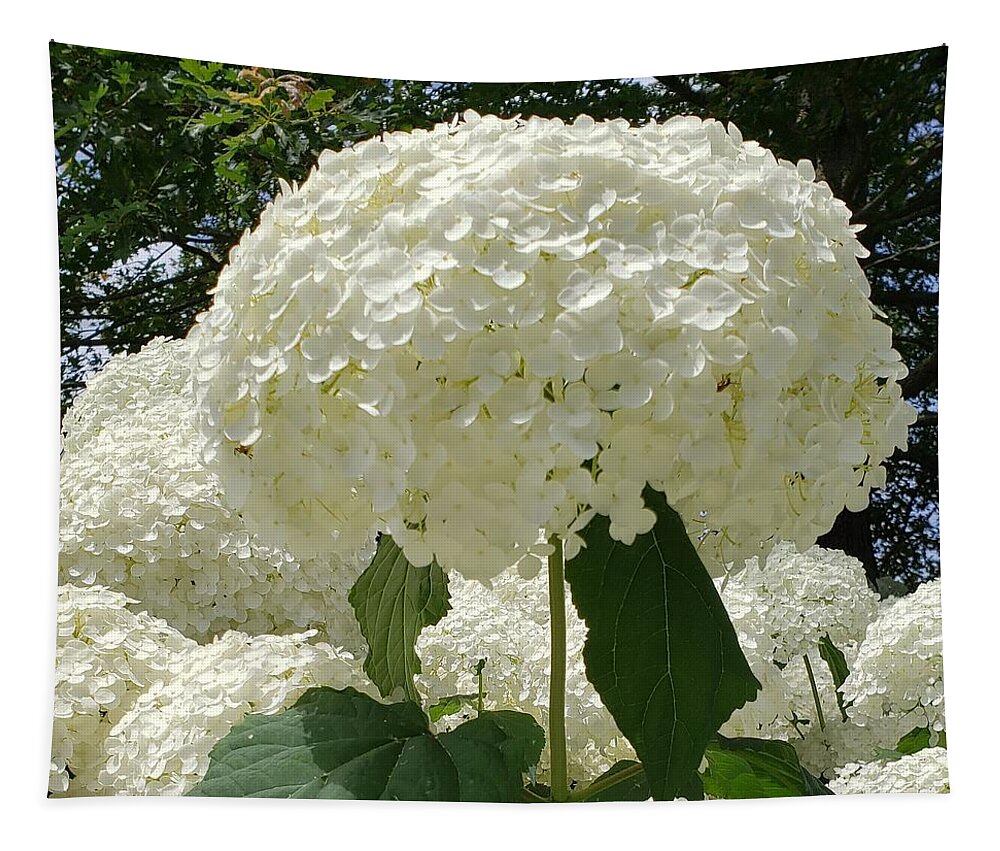 Flower Tapestry featuring the photograph White Snowball by Anita Adams