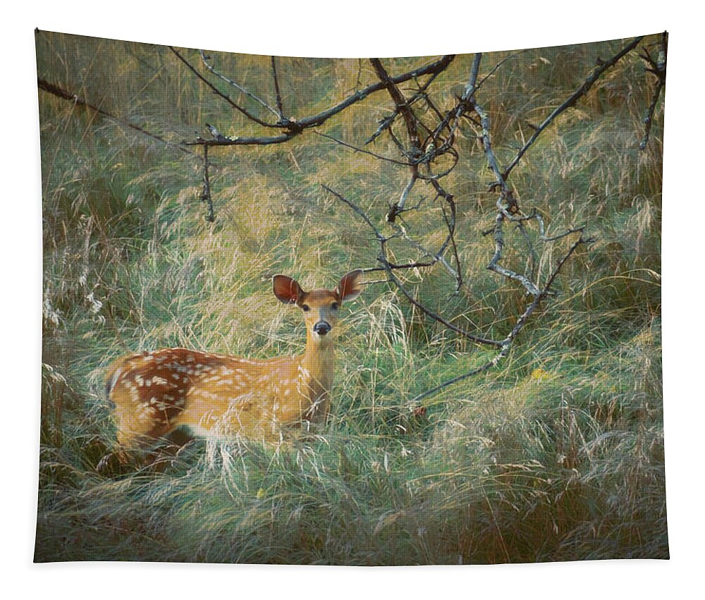 Deer Tapestry featuring the photograph White Tailed Fawn in the Tall Grass by Jason Fink